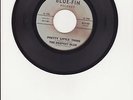 The Deepest Blue-Pretty Little Thing/Some Body's Girl-Rare 60's Garage Rock 45