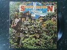 SAVOY BROWN   