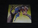 Sunny Day Real Estate/Circa Survive - split (Record Store Day 2014 Exclusive)