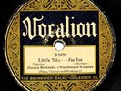 JIMMY BERTRAND'S WASHBOARD WIZARDS on 1926 Vocalion 1035 - Little Bits