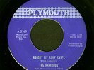 The RAMRODS Bright Lit Blue Skies 1966 MA MOD Garage POP Soul Hear It Rockin'