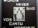 Rare Orig LP - VOS CANTU MONEMUS : WORDS NEVER SAID - Private Folk 1969