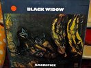 BLACK WIDOW VERY RARE SEALED LP SACRIFICE 1970 UNITED ARTISTS 1STPRESS OUT/PRINT