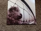 Pearl Jam Vs. LP Vinyl Great Condition