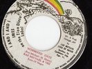 JA REGGAE/ROOTS 45 Numbered Days RAS MICHAEL & THE SONS OF NEGUS I and I Imes