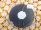 COSMONAUTS 'PERSONA NON GRATA' ***LIMITED TEST PRESSING***  BURGER RECORDS