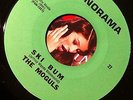 Pounding 60s garage punk 45 MOGULS “Ski Bum /Try Me” PANORAMA rare orig ‘66