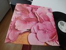 STILL LIFE - S/T. ORIGINAL 1ST PRESSING.VERTIGO SWIRL .MINT 