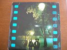 LP 33T LITTLE FREE ROCK / REF : TRA 208