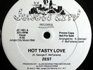 * ZEST Hot Tasty Love  BOOGIE FUNK WL PROMO Jungle City 12