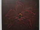 MACHINE HEAD 'The Burning Red' Vinyl LP NEW & SEALED