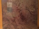 COCTEAU TWINS Box Set 1 [SEALED] 5LPs Garlands Head Over Heels Treasure Sunburst