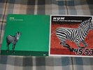 HUM You'd Prefer An Astronaut LP 1st press cargo records jay ryan print
