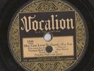 Rare Blues 78-Tampa Red Hokum Jug Band-Vocalion 1540-She Can Love So Good LISTEN