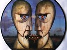 PINK FLOYD - THE DIVISION BELL - RARE LIMITED EDITION PICTURE PIC DISC VINYL LP