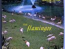 FLAMINGOS FIRST ALBUM INSANELY RARE ORIG '57 CHECKER MONO LP BLACK LABEL DG NM