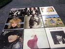 80s lps X40-POP ,ROCK,NEW AGE ,PUNK-ALL LISTED IN GREEN CASE