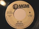 WONDERLICK   Hey, Joe / Come On People - HEAR PROMO 7