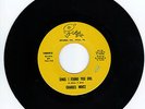 CHARLES MINTZ/Since I Found You Girl-Up Look (Record logo) HEAR