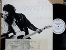 BRUCE SPRINGSTEEN Born To Run ORIGINAL WHITE LABEL PROMO VINYL LP