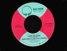 SAM DEES & BETTYE SWANN--JUST AS SURE / STORYBOOK CHILDREN--BIG TREE BT-16054