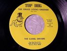MICHIGAN GARAGE   CAMEL DRIVERS The Grass Looks Greener   TOP DOG 7