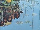 SAPO same US 1974 SEALED LP
