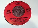 LEE DAVID TEMPTATION IS CALLING MY NAME ORIG COLUMBIA 45 NORTHERN SOUL RARE