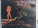 BIG SLEEP Bluebell Wood LP 'Lost' Pegasus Prog Rock UK Rare Original