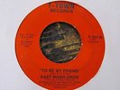 EAST RIVER DRIVE To Be My Friend b/w Funk House Fever 45 T Town sweet soul ohio