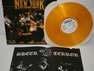 VA NEW YORK HARDCORE Where the wild things are LP GOLD vinyl NYHC SXE Schis