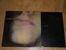 PJ HARVEY - Dry - VINYL LP & INNER  TOO PURE - PURE 10