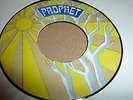 MICHAEL PROPHET 7'' STRUGGLE DIGI ROOTS KILLER