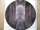Rar Hypocrisy penetralia Picture Vinyl 12