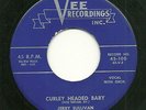Rockabilly 45 - Jerry Sullivan Vee 100 
