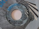 NM NORTHERN SOUL 45/ THE BARRINO BROTHERS 