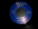 RUFUS WONDER - UNDER THE MOON - LANDO re