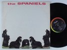 SPANIELS Self Titled VEE JAY LP
