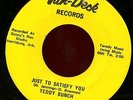 TEDDY BUNCH. JUST TO SATISFY YOU.45. VAN-DECK 130. 60s GARAGE PSYCH ROCKER.HEAR