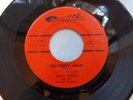 HEAR Rare Garage Rock 45: Lenny Frank and the Rhythm Rockers   Solitary Man
