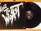 The WORST Expect the Worst lp Chronic Sick NJHC Mutha records KBD the Burnt