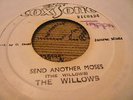 The Willows Send Another Moses Rare Killer Roots 7