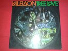 KALEIDON - FREE LOVE - ITALIAN PROG - ORIGINAL FONIT EX/NMINT  PERFECT