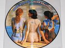 Pink Floyd 'Rare Beauties' Alter Tracks Pic LP Picture Disc Vinyl Record Rare NM