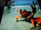 PRODIGY : THE FAT OF THE LAND 2LP 1997 XL RECORDINGS UK