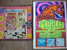 Pebbles Box  -   Wild Psychotic Garage Punk