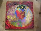 TANGLE EDGE -IN SEARCH OF A NEW DAWN Mushroom 89 LP Norwegian PROG PSYCH ROCK M-