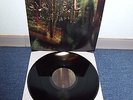 WOLVES IN THE THRONE ROOM - Malevolent Grain LP