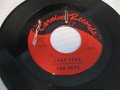 Northern Soul 45 The Pets Carnival Lbl. # 511