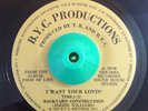 70's Modern Sweet Soul 45 Backyard Construction I Want Your Lovin on BYC M-